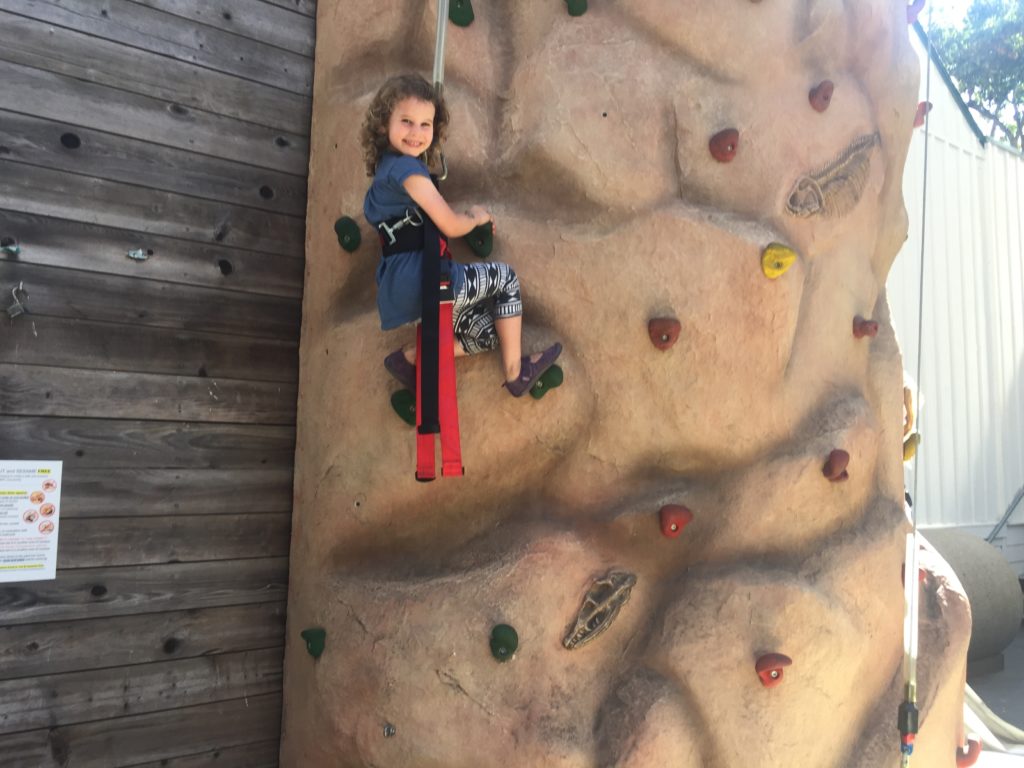 climbing wall