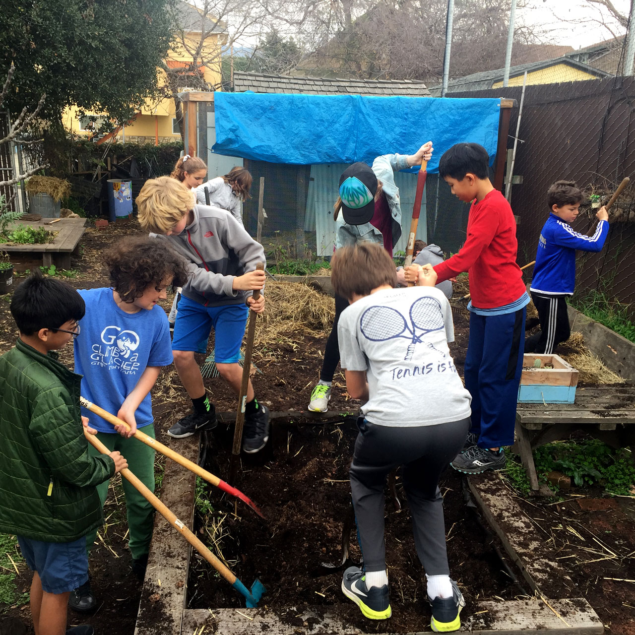 creating garden - students digging
