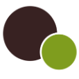 Black Pine Circle Inc logo