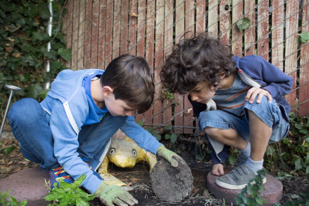 curious boys in the garden