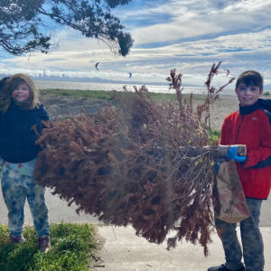BPC Albany Beach Cleanup kids with Tree