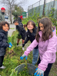Paci Day kids gardening