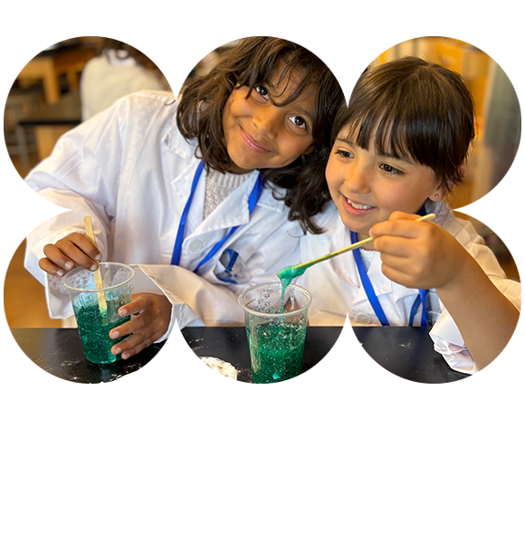 H&S2